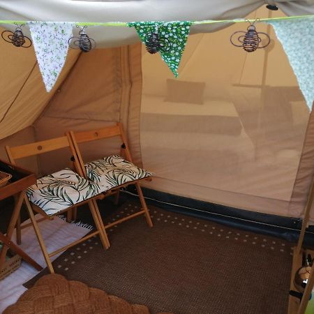 Coed Y Brenin Retreat - Bell Tent Glamping Near Aberaeron Ciliau Aeron Luaran gambar