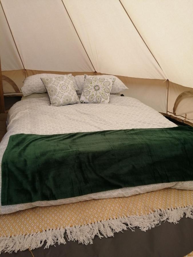 Coed Y Brenin Retreat - Bell Tent Glamping Near Aberaeron Ciliau Aeron Luaran gambar