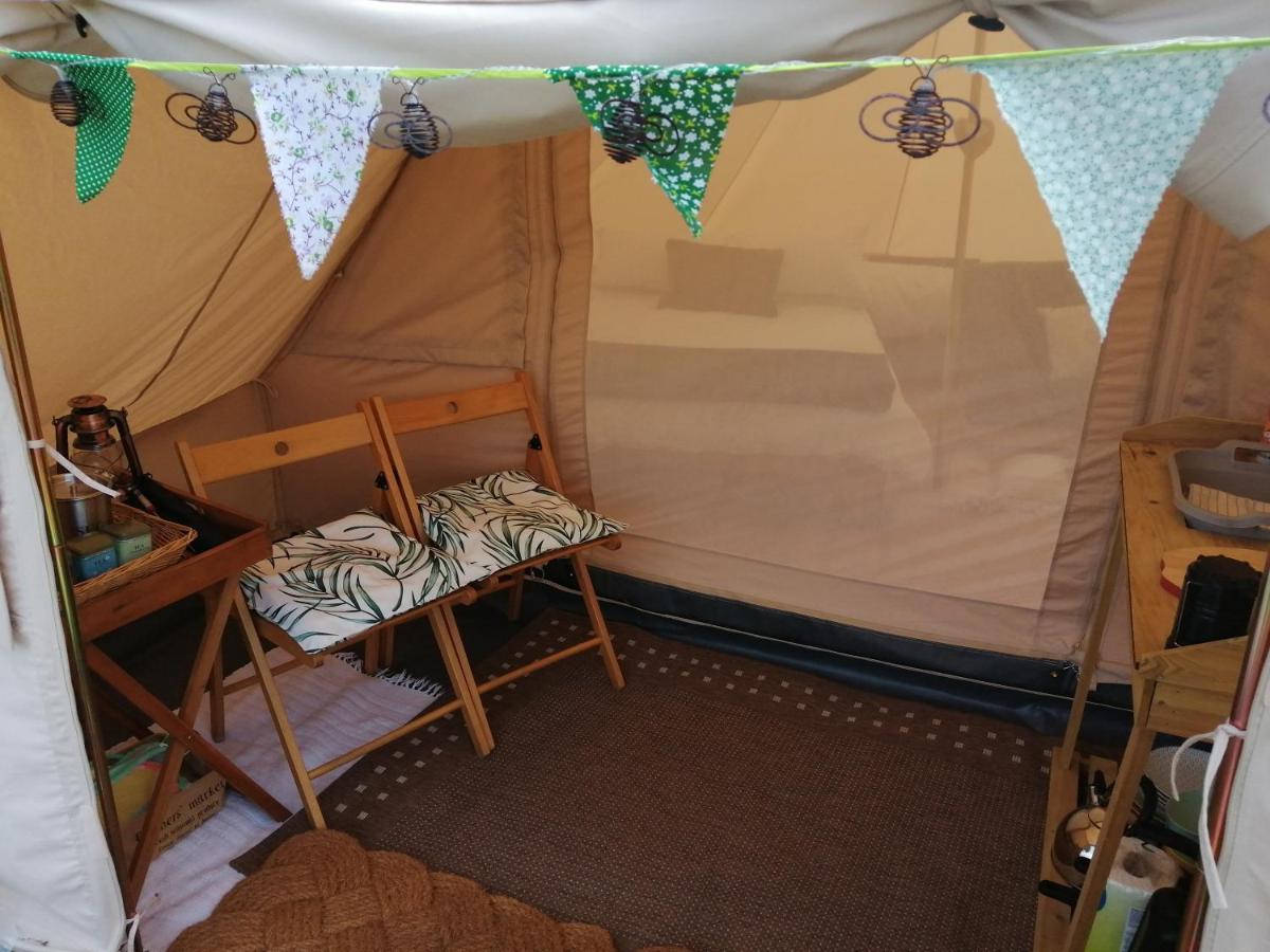 Coed Y Brenin Retreat - Bell Tent Glamping Near Aberaeron Ciliau Aeron Luaran gambar