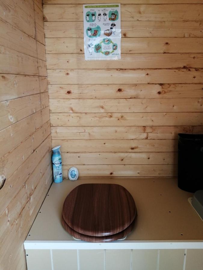 Coed Y Brenin Retreat - Bell Tent Glamping Near Aberaeron Ciliau Aeron Luaran gambar