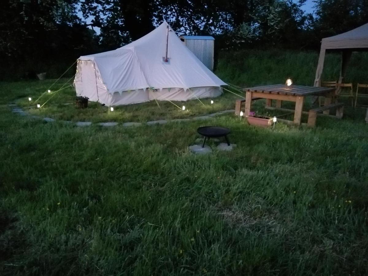 Coed Y Brenin Retreat - Bell Tent Glamping Near Aberaeron Ciliau Aeron Luaran gambar